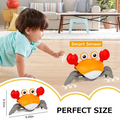 Cangrejo Caminador Montessori con Pilas — Aprecito Chile