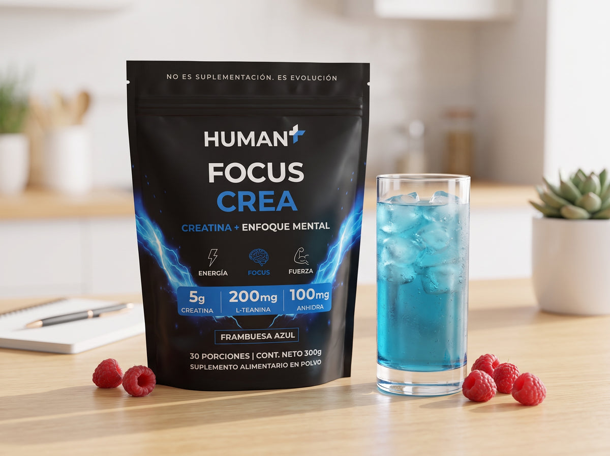 Human+ Focus CREA — tu ritual de foco en el escritorio