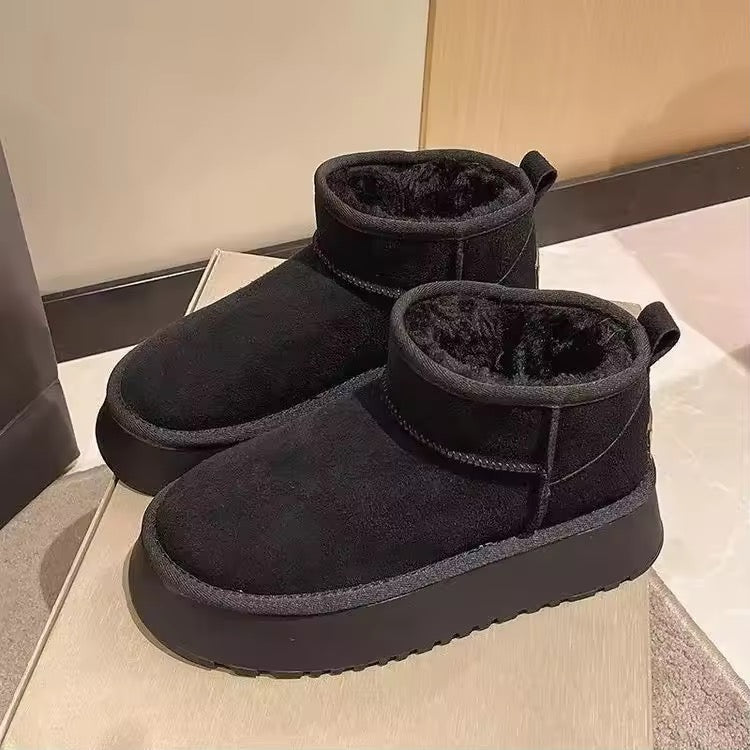Pantubota chiporro — rosa