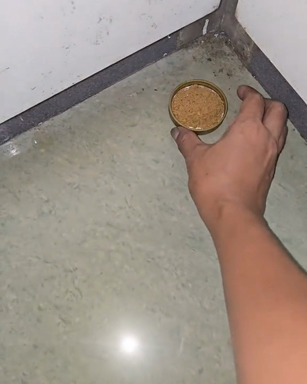 Cebo en una tapita colocado en el rincon del piso de la cocina